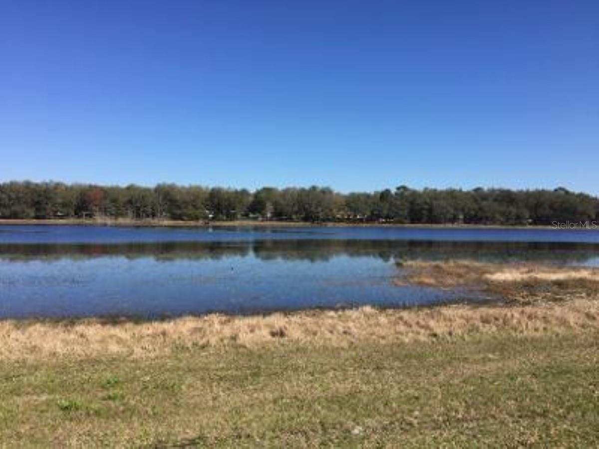 LOTS 15 & 16 SW SHOREWOOD DR, DUNNELLON, FL — photo 12