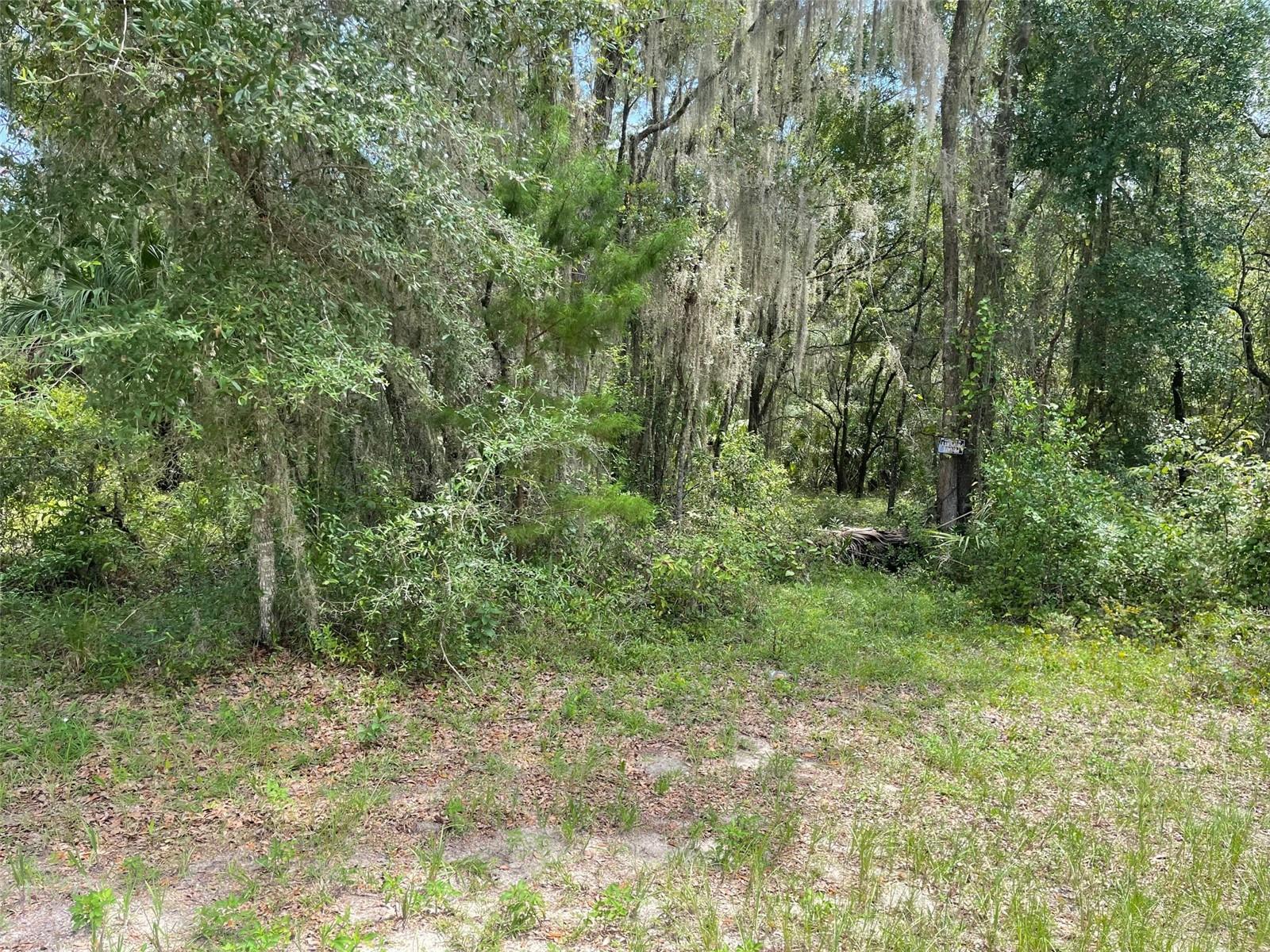 LOTS 15 & 16 SW SHOREWOOD DR, DUNNELLON, FL — photo 8