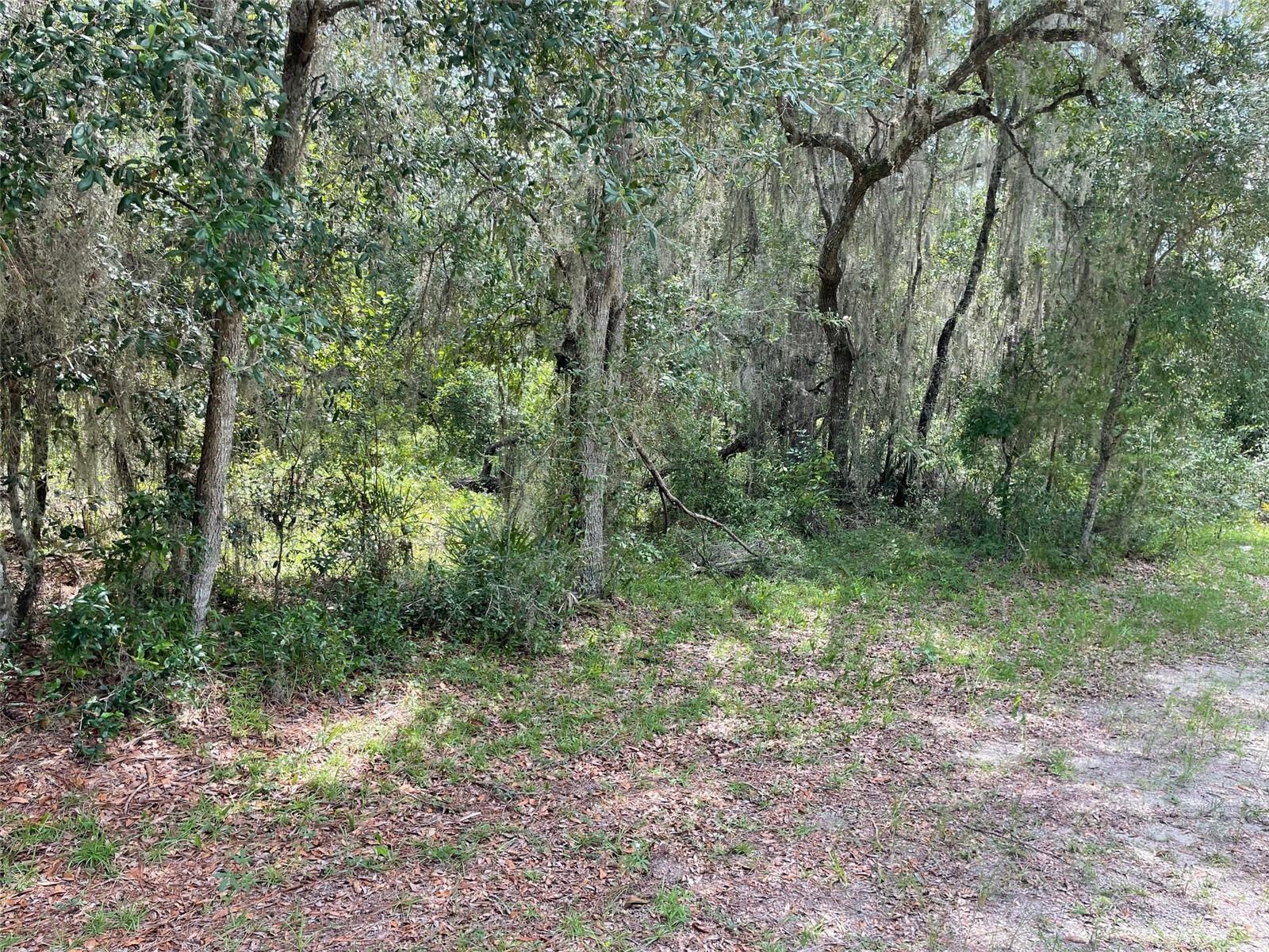 LOTS 15 & 16 SW SHOREWOOD DR, DUNNELLON, FL — photo 9