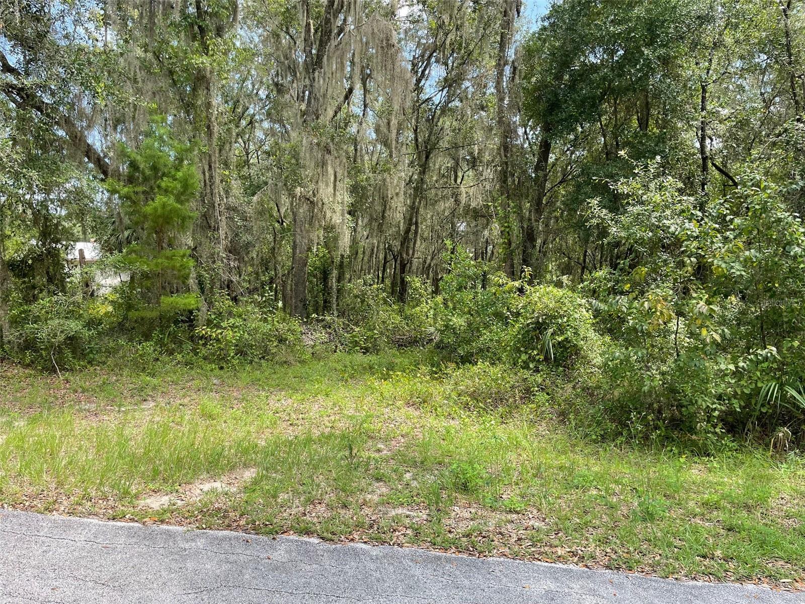 LOTS 15 & 16 SW SHOREWOOD DR, DUNNELLON, FL — photo 10