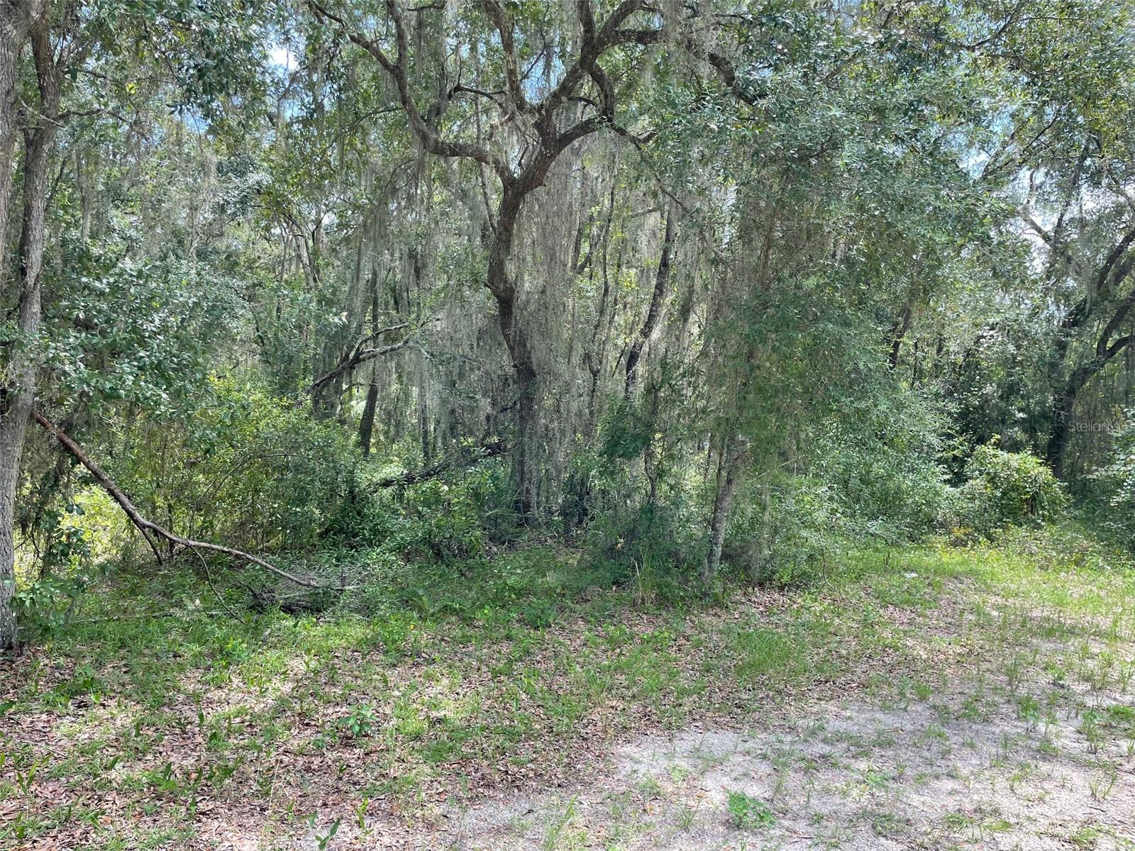 LOTS 15 & 16 SW SHOREWOOD DR, DUNNELLON, FL — photo 11