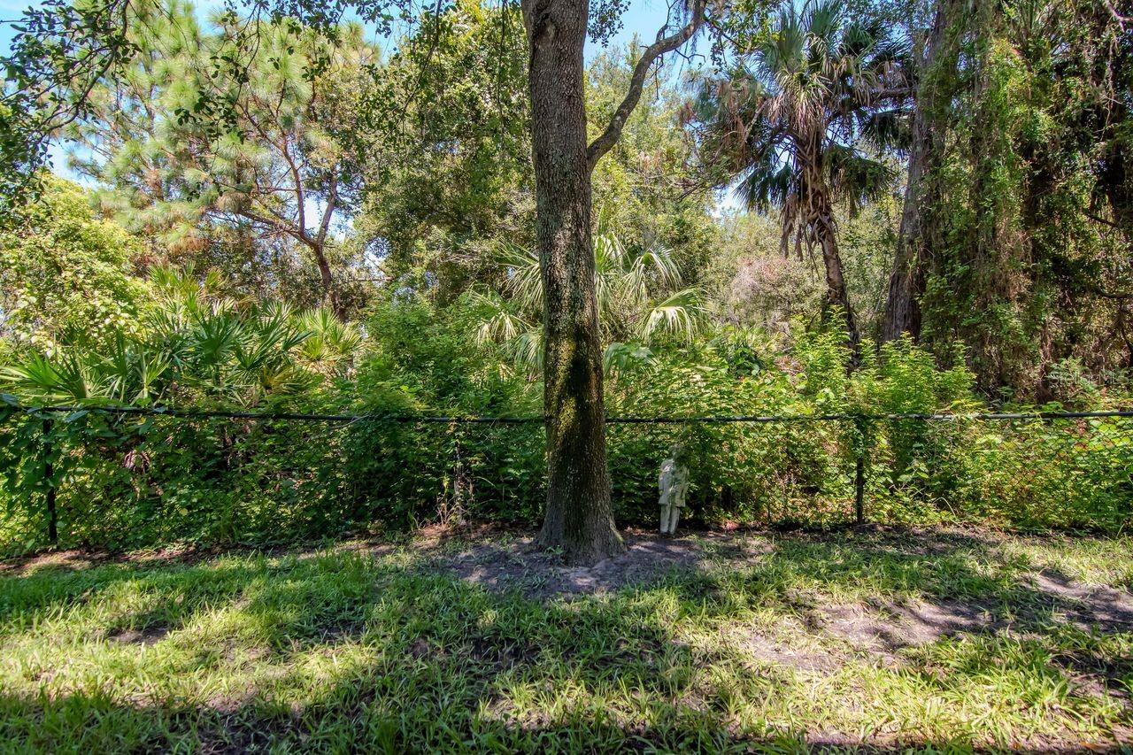 8880 MOONLIT MEADOWS LOOP, RIVERVIEW, FL — photo 37