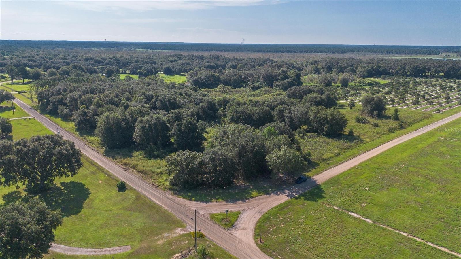 YALE HAMMOCK ROAD, UMATILLA, FL — photo 5