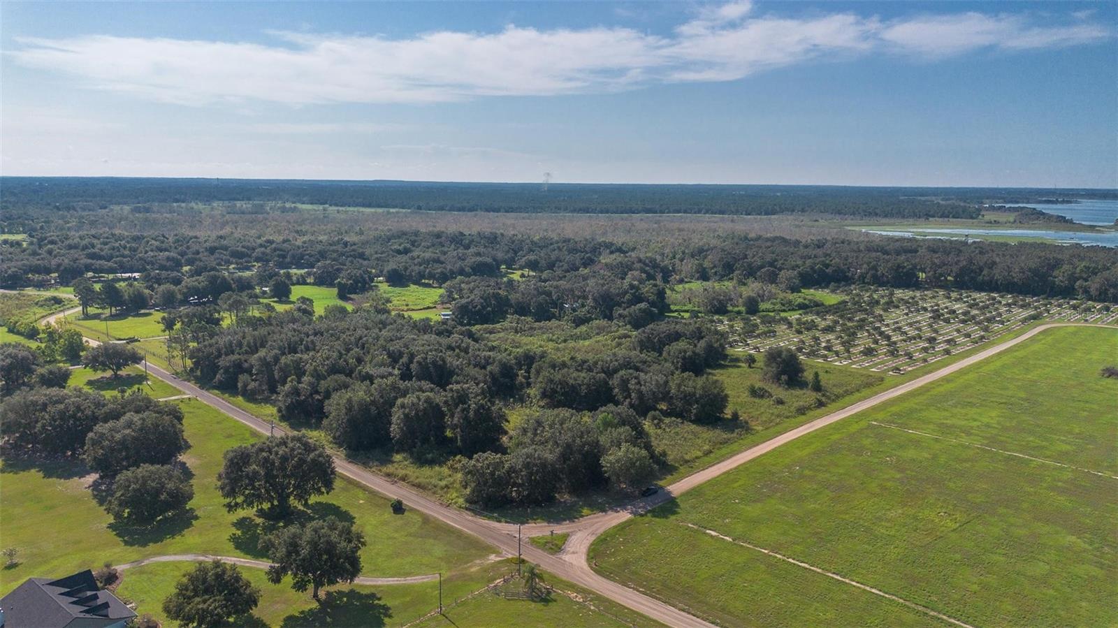YALE HAMMOCK ROAD, UMATILLA, FL — photo 19