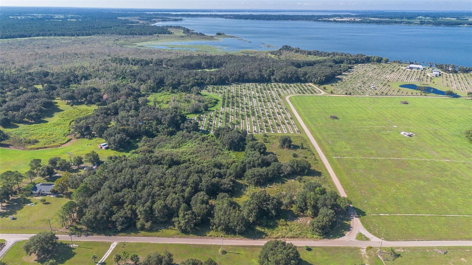 YALE HAMMOCK ROAD, UMATILLA, FL — photo 22
