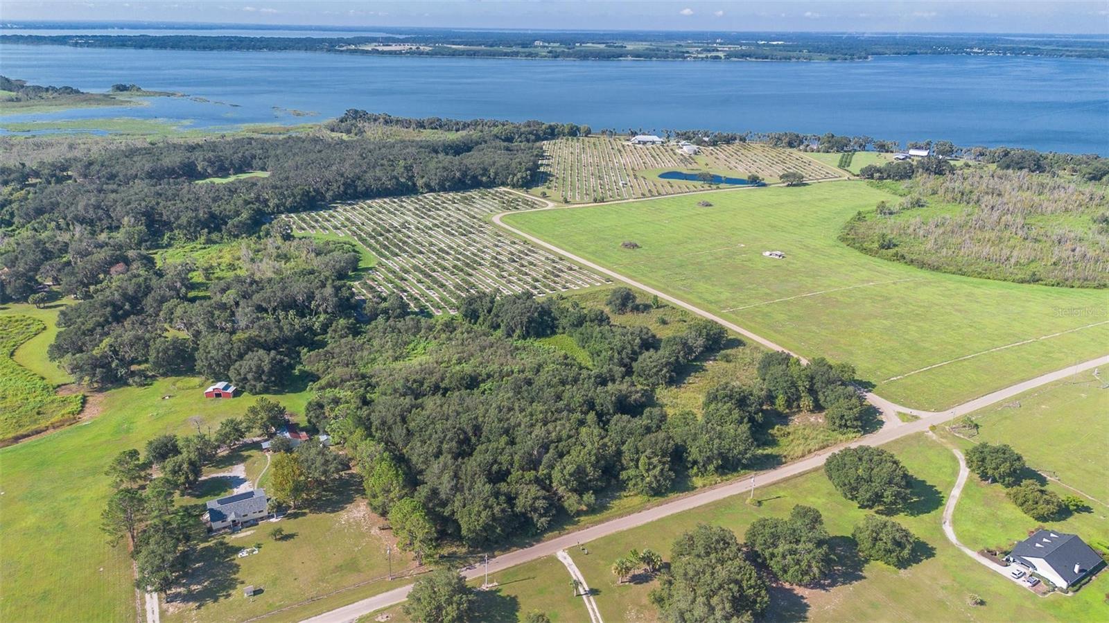 YALE HAMMOCK ROAD, UMATILLA, FL — photo 23