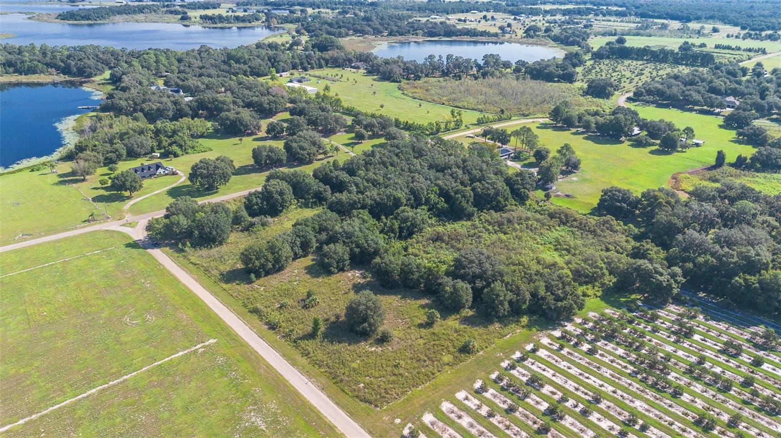 YALE HAMMOCK ROAD, UMATILLA, FL — photo 8