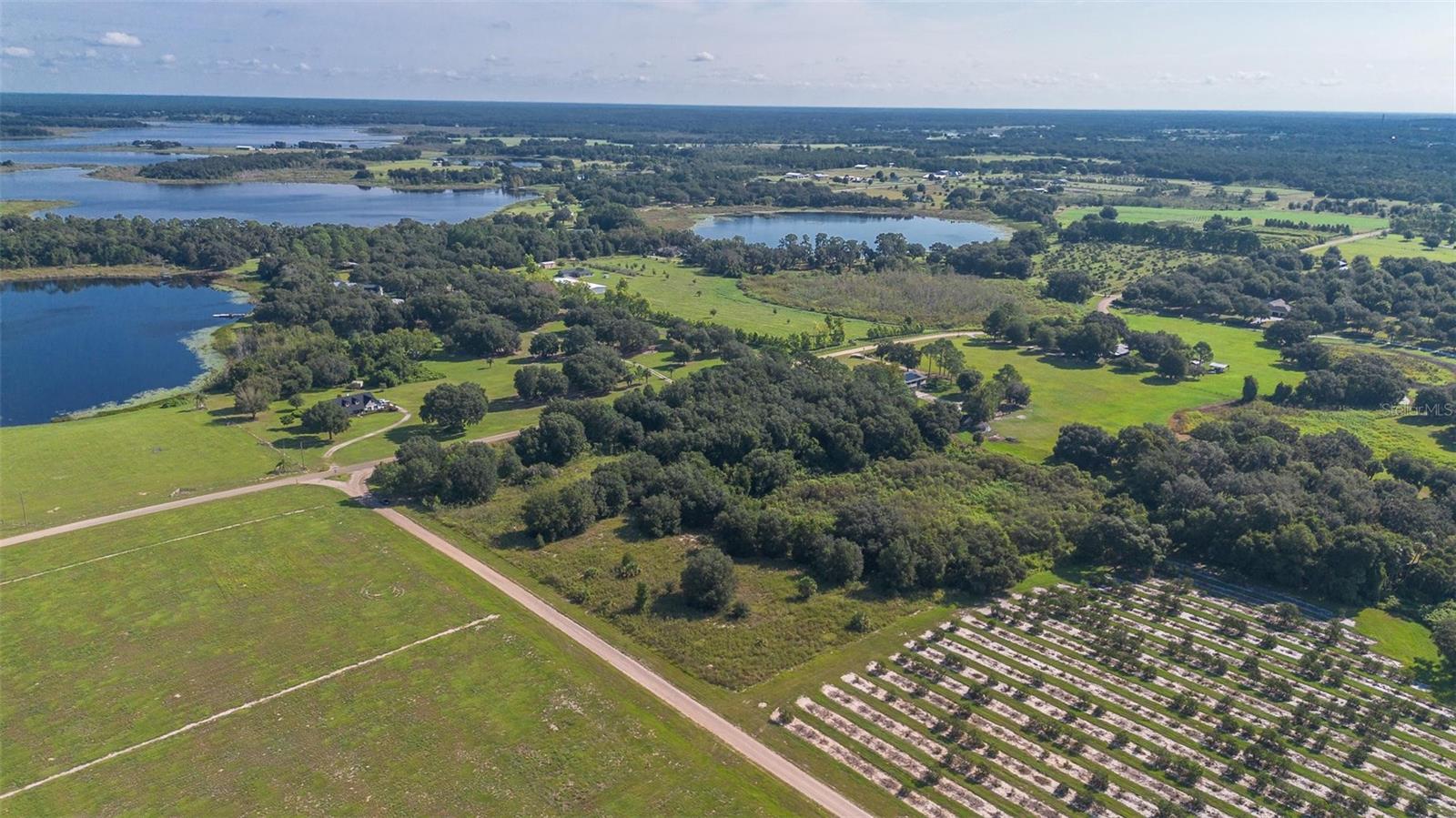 YALE HAMMOCK ROAD, UMATILLA, FL — photo 25