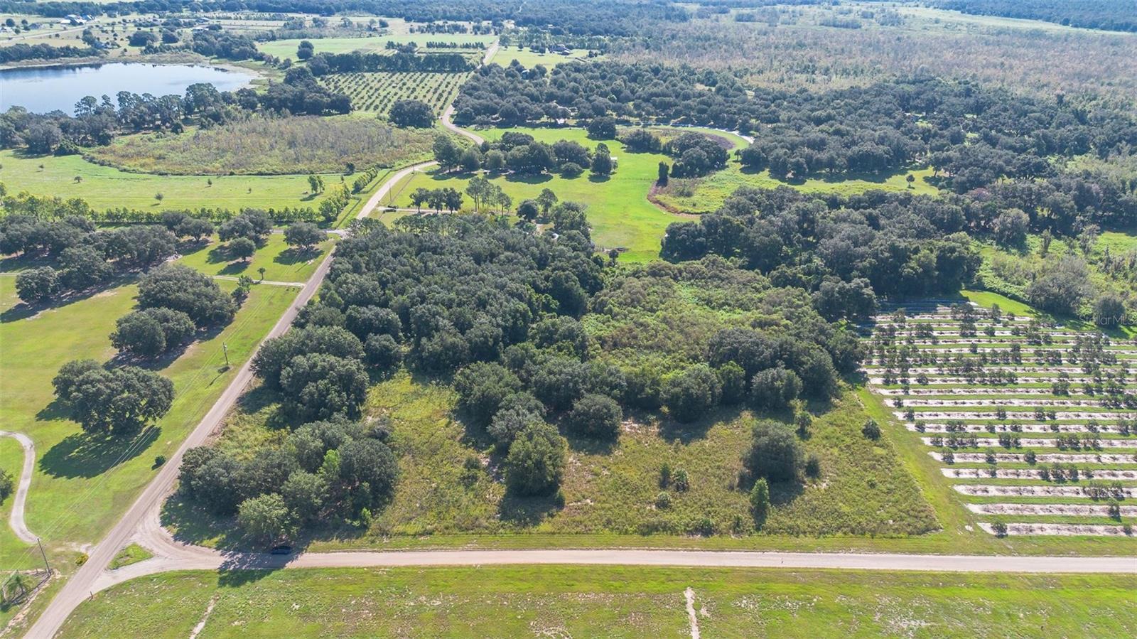 YALE HAMMOCK ROAD, UMATILLA, FL — photo 27