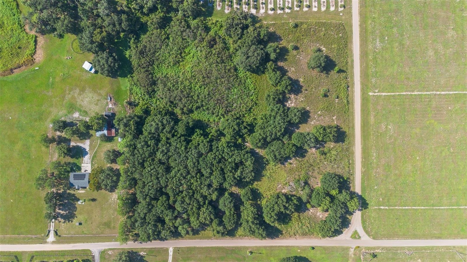 YALE HAMMOCK ROAD, UMATILLA, FL — photo 29