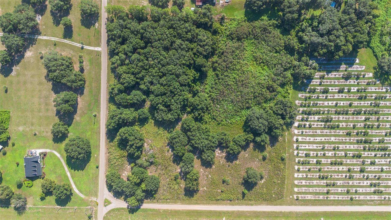 YALE HAMMOCK ROAD, UMATILLA, FL — photo 9