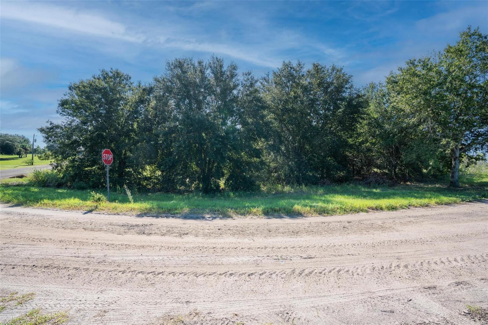 YALE HAMMOCK ROAD, UMATILLA, FL — photo 16