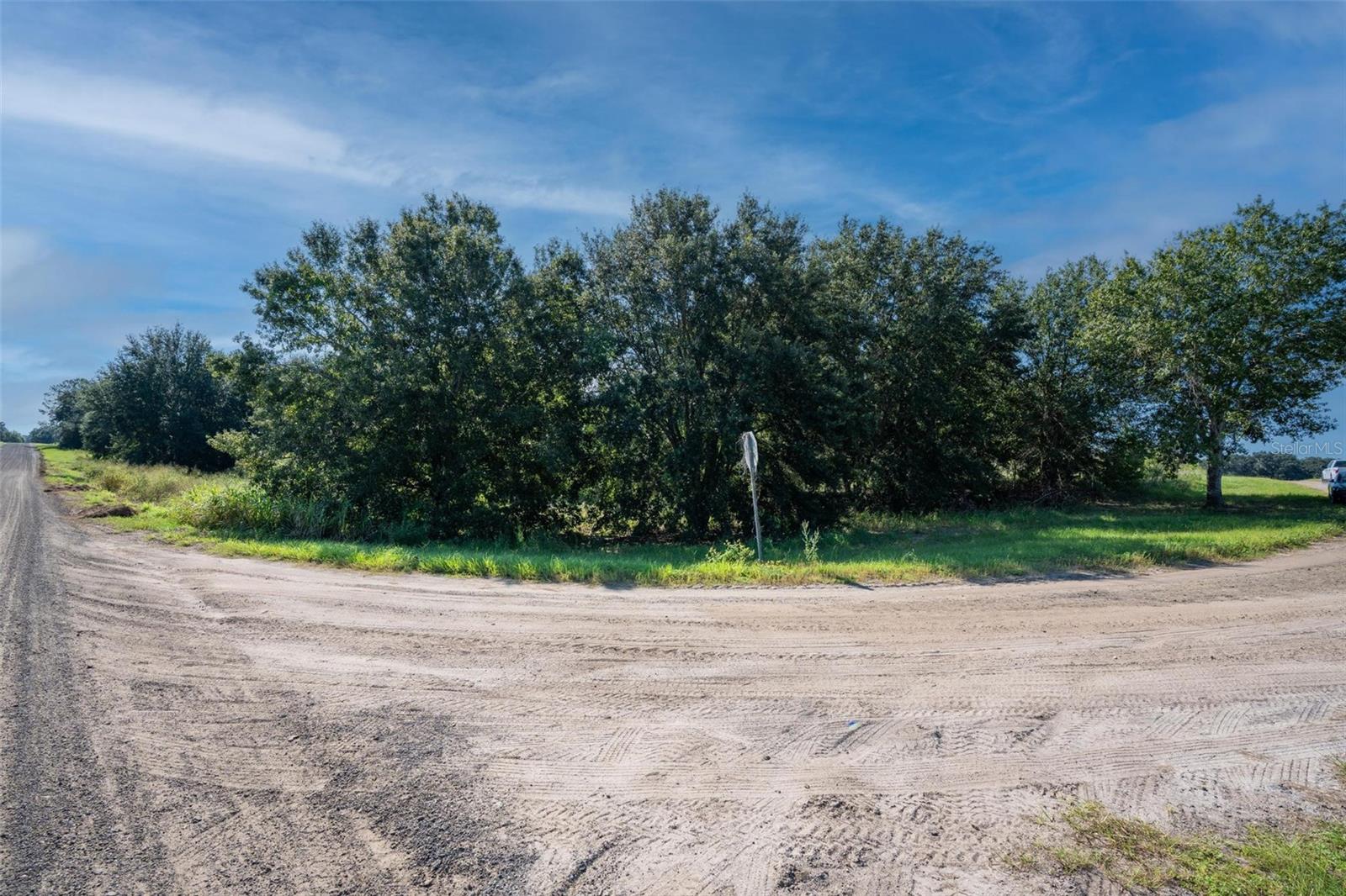YALE HAMMOCK ROAD, UMATILLA, FL — photo 31