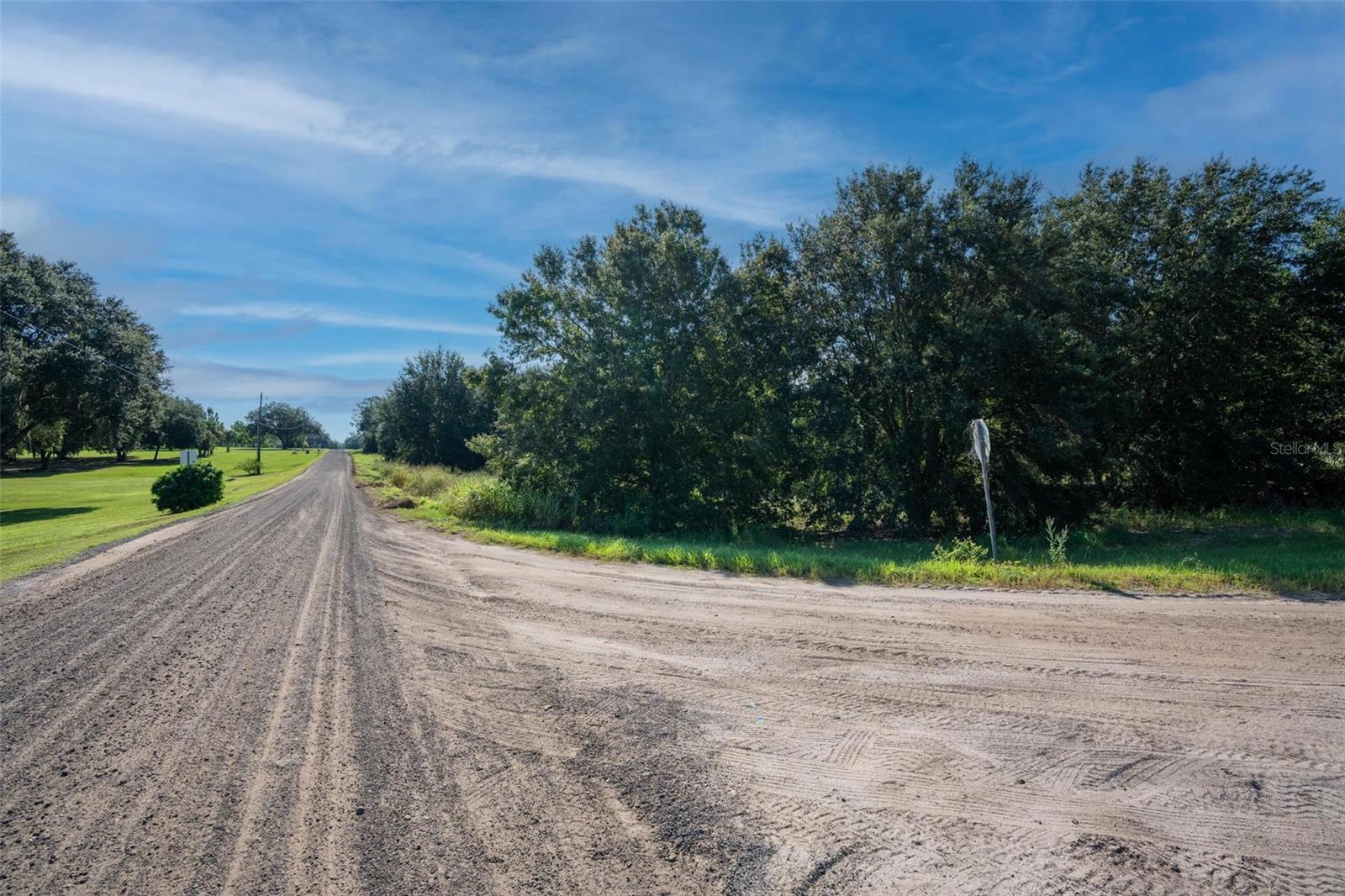 YALE HAMMOCK ROAD, UMATILLA, FL — photo 33
