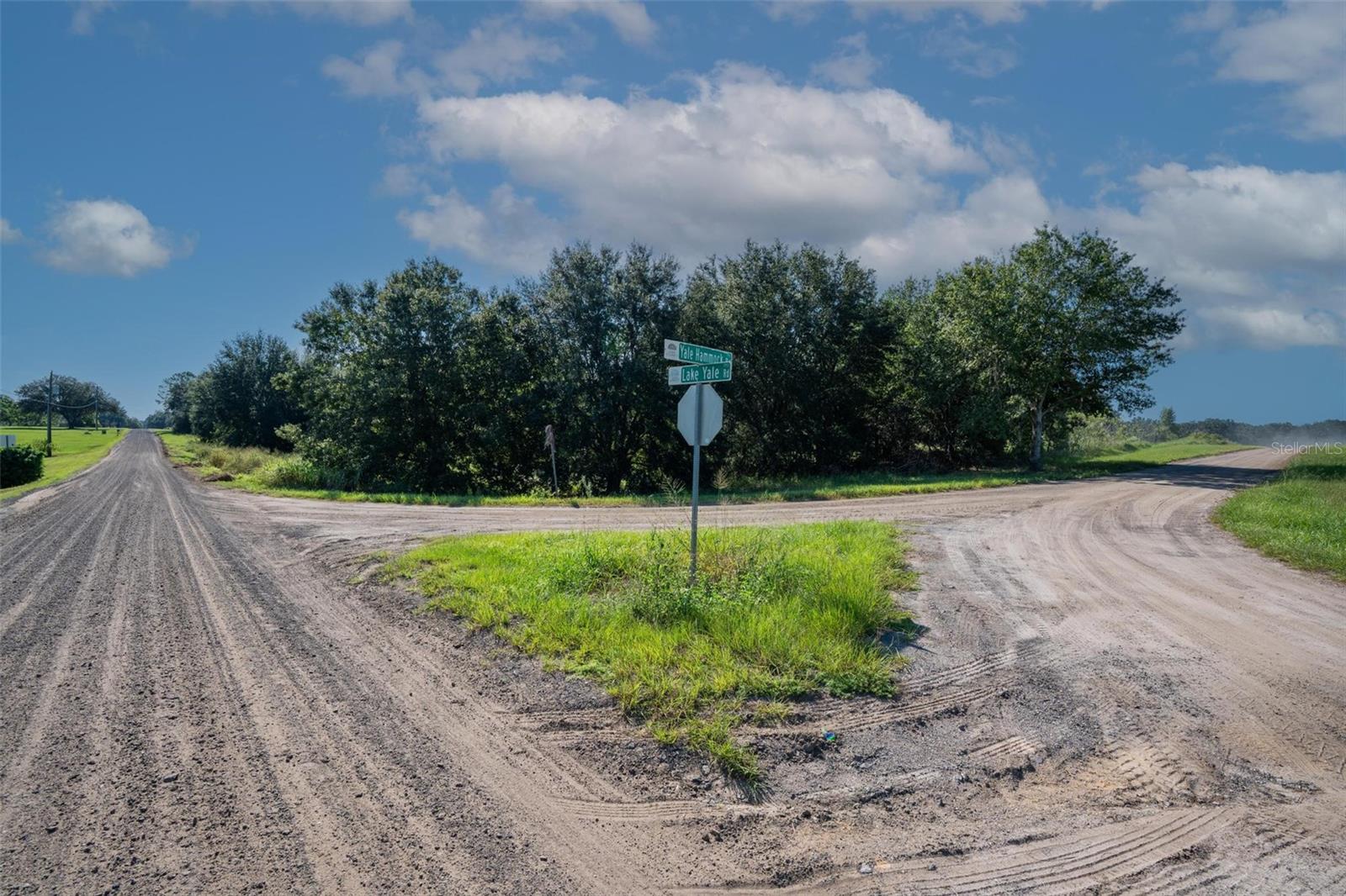 YALE HAMMOCK ROAD, UMATILLA, FL — photo 35
