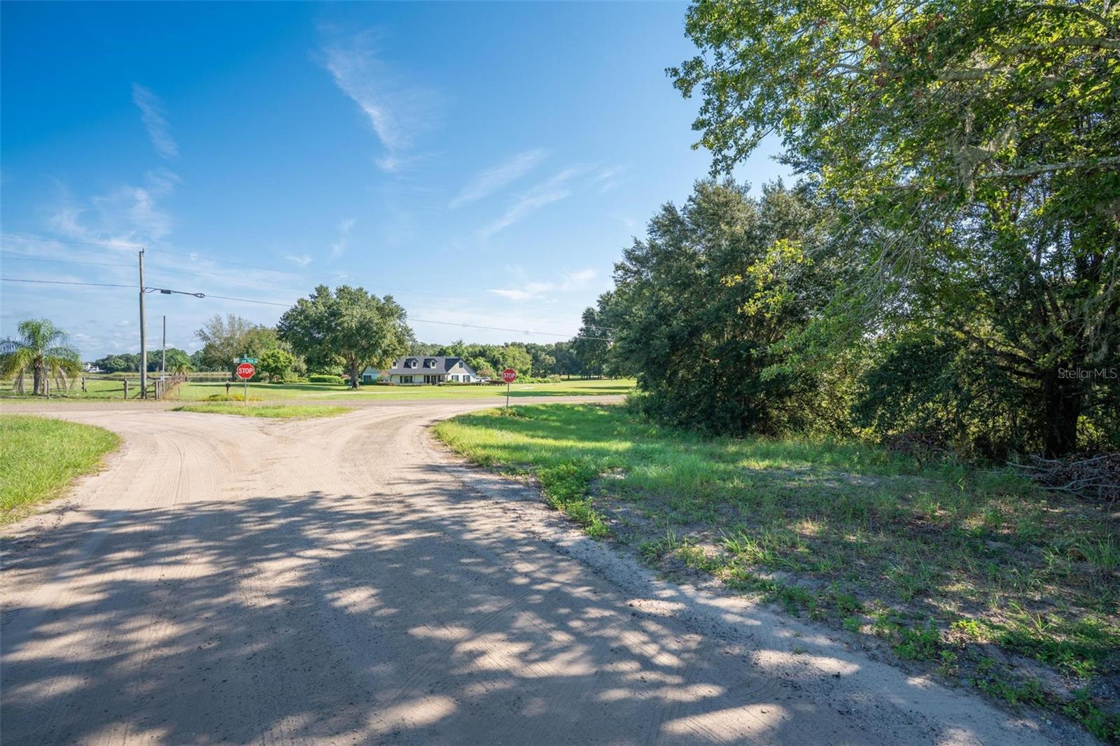 YALE HAMMOCK ROAD, UMATILLA, FL — photo 13