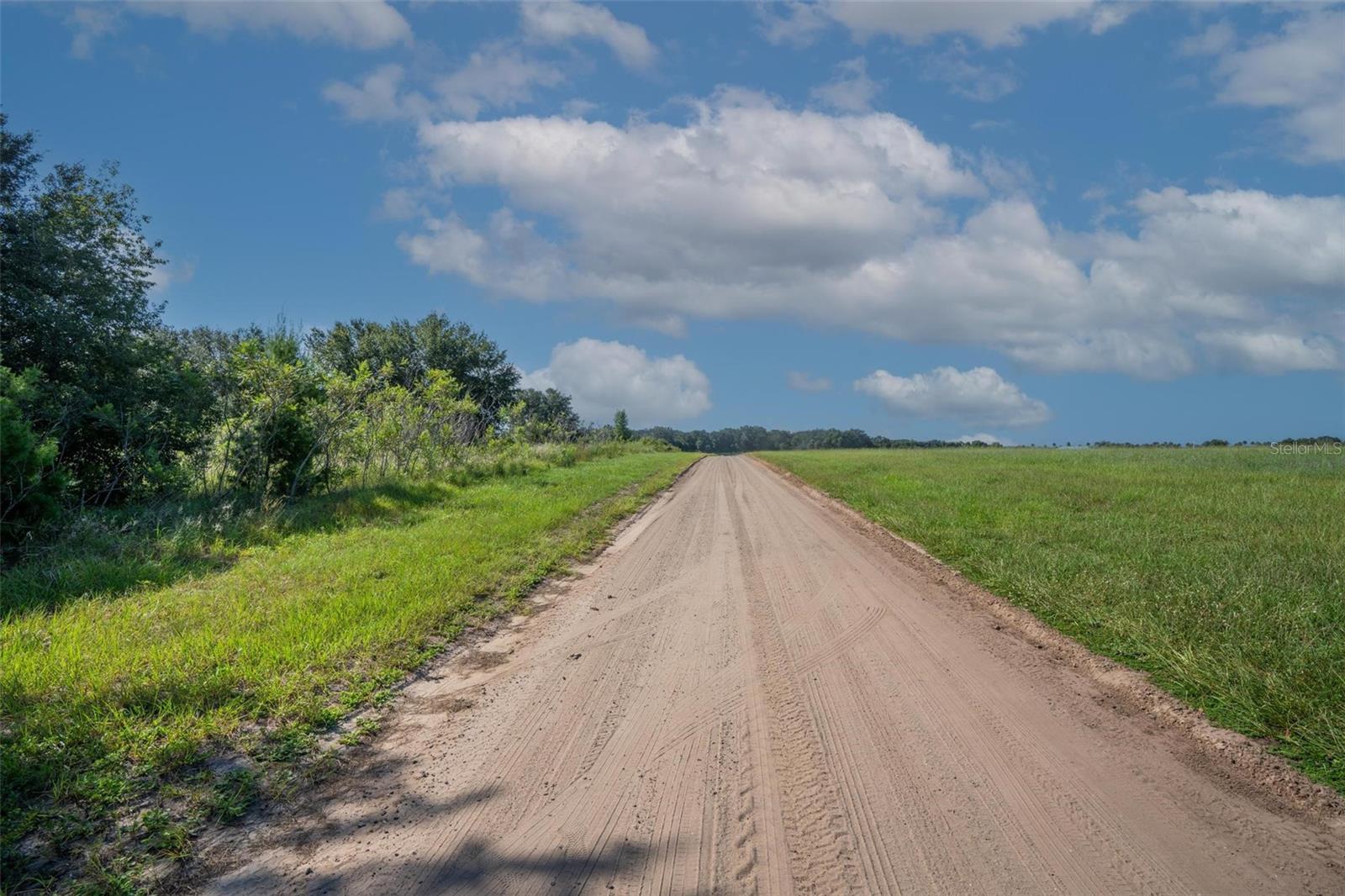 YALE HAMMOCK ROAD, UMATILLA, FL — photo 17