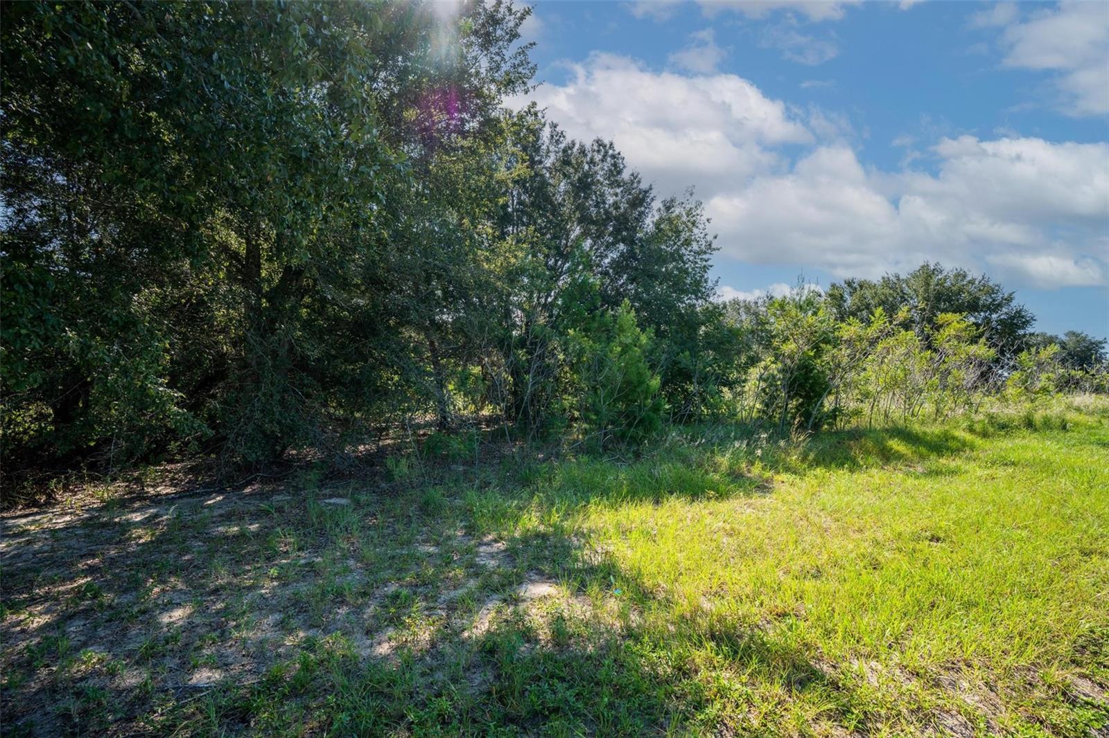 YALE HAMMOCK ROAD, UMATILLA, FL — photo 38
