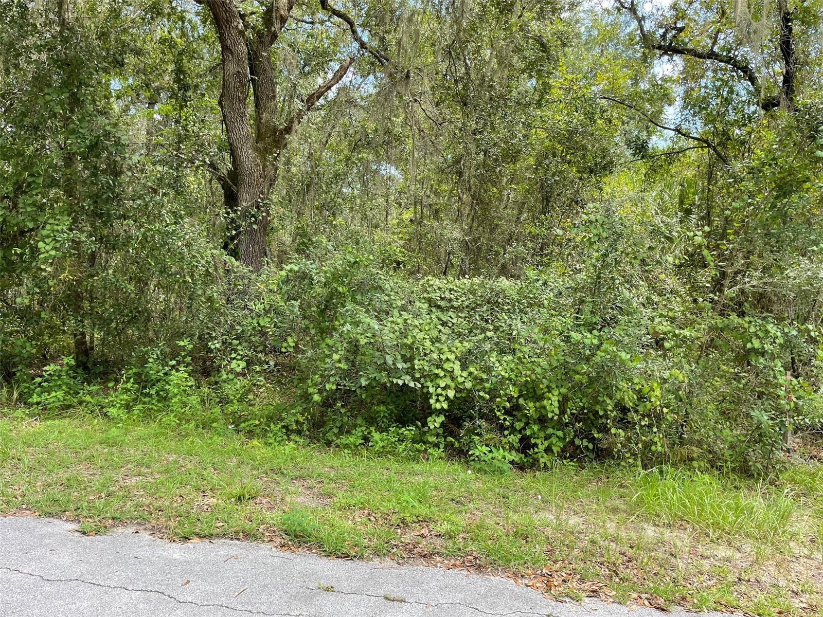 LOTS 13 & 14 SW SHOREWOOD DR, DUNNELLON, FL — photo 9