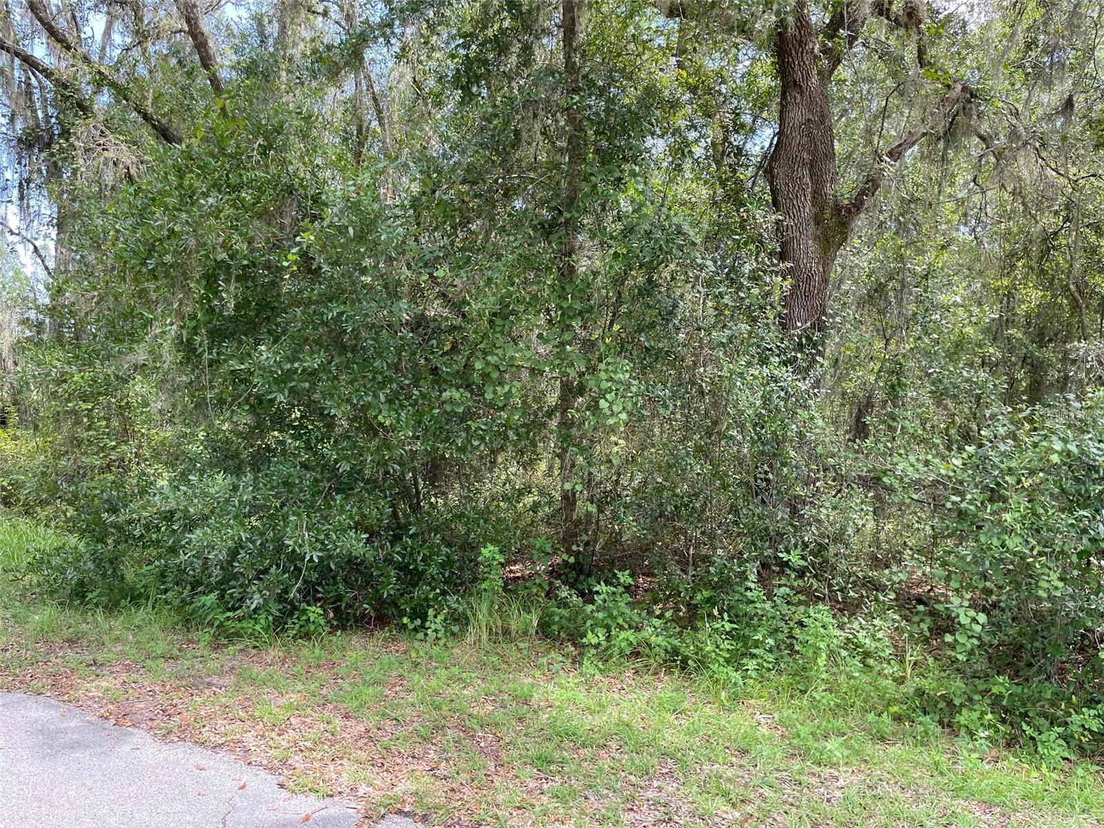 LOTS 13 & 14 SW SHOREWOOD DR, DUNNELLON, FL — photo 10