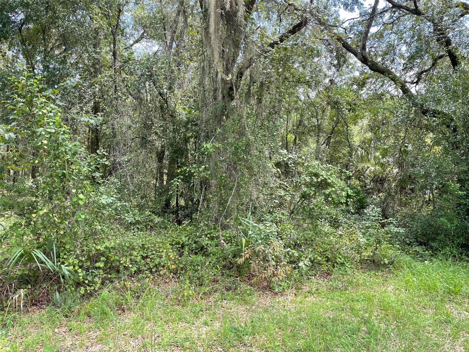 LOTS 13 & 14 SW SHOREWOOD DR, DUNNELLON, FL — photo 12