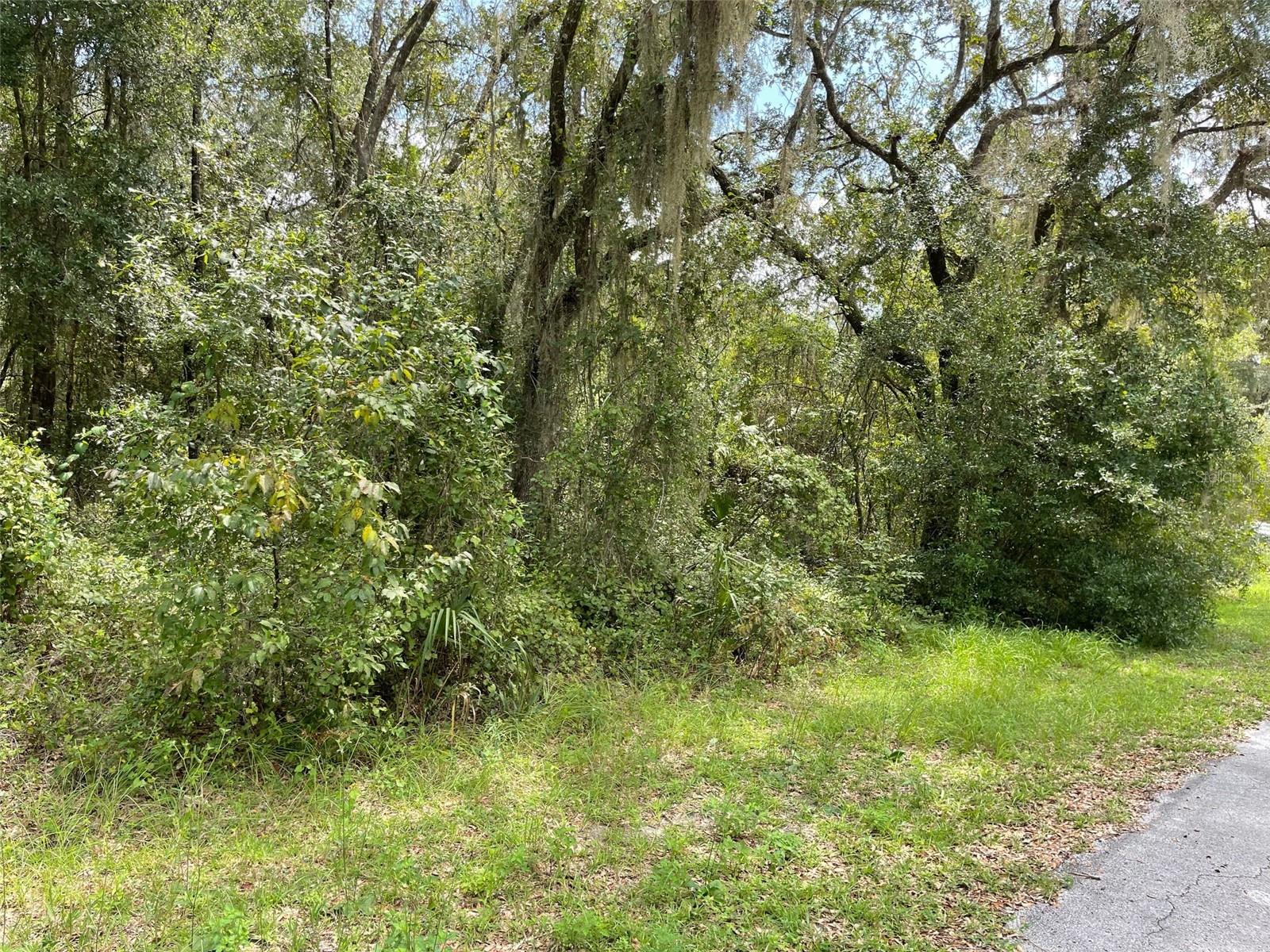 LOTS 13 & 14 SW SHOREWOOD DR, DUNNELLON, FL — photo 13