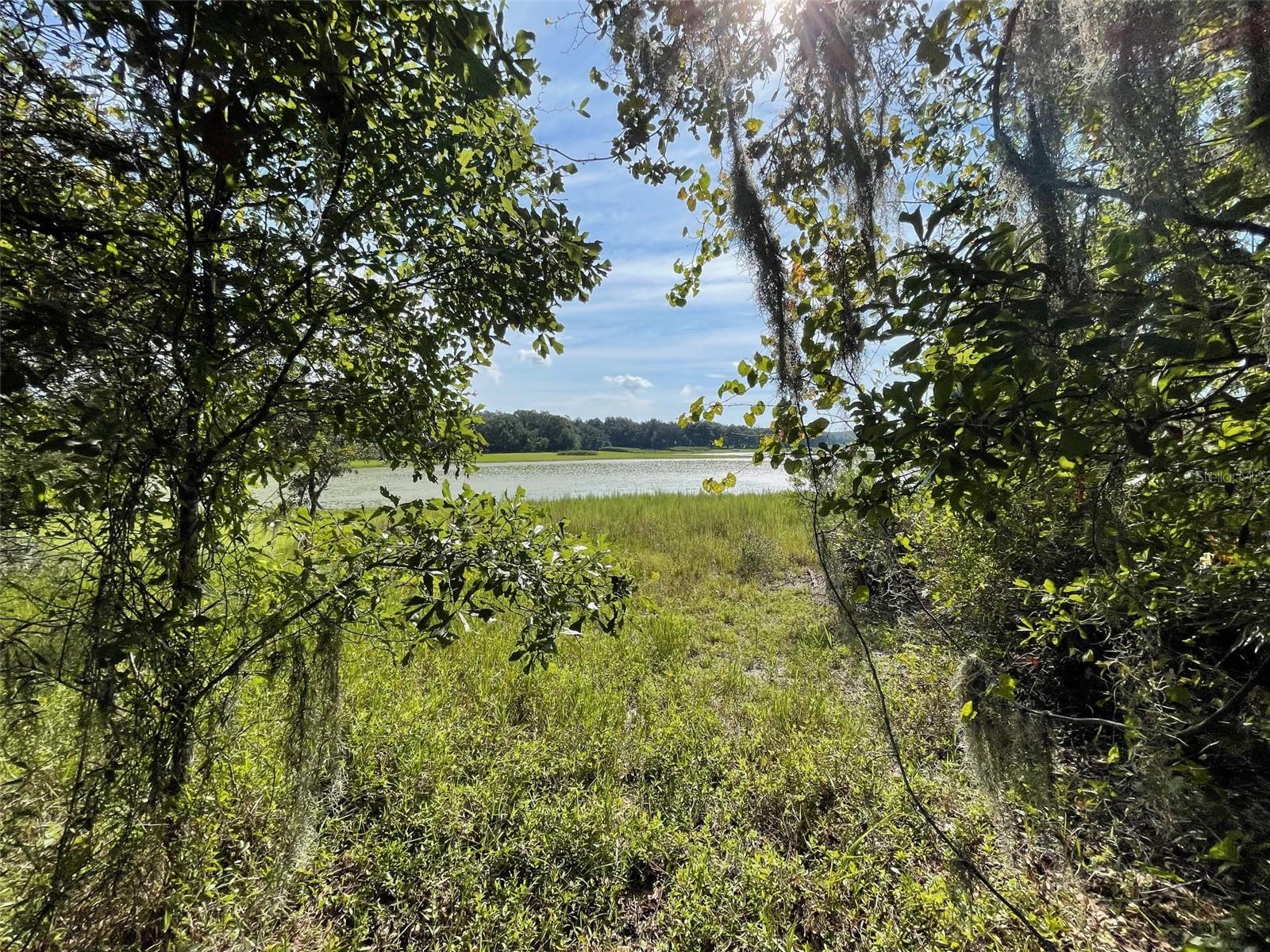 LOTS 13 & 14 SW SHOREWOOD DR, DUNNELLON, FL — photo 3