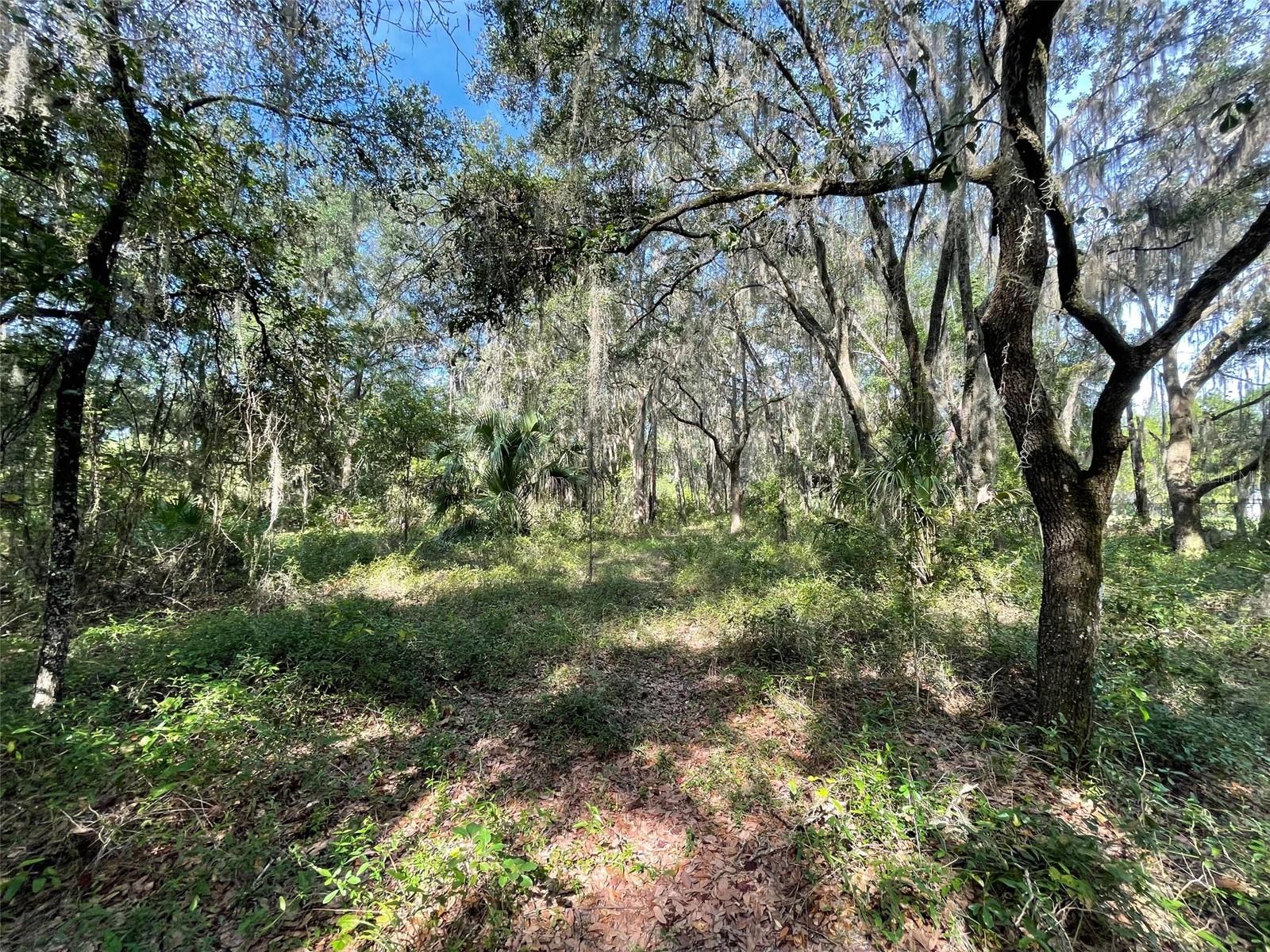LOTS 13 & 14 SW SHOREWOOD DR, DUNNELLON, FL — photo 4