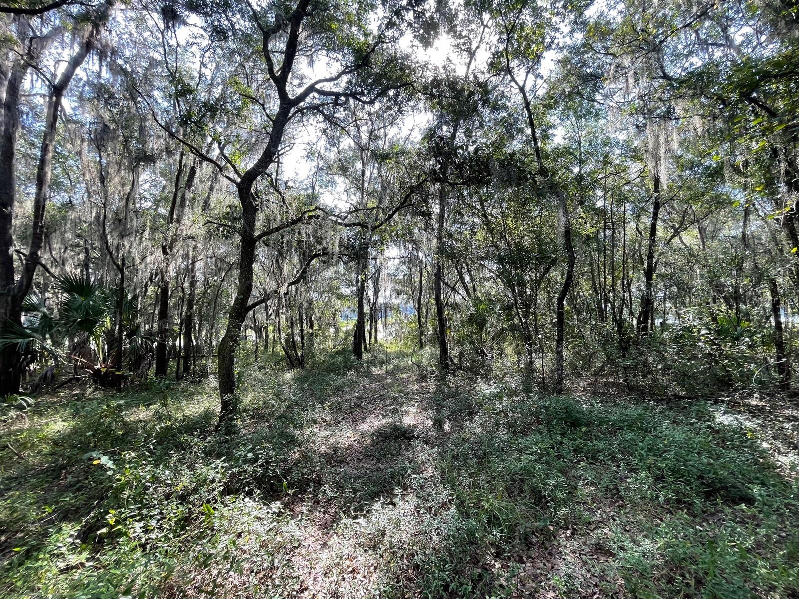 LOTS 13 & 14 SW SHOREWOOD DR, DUNNELLON, FL — photo 7
