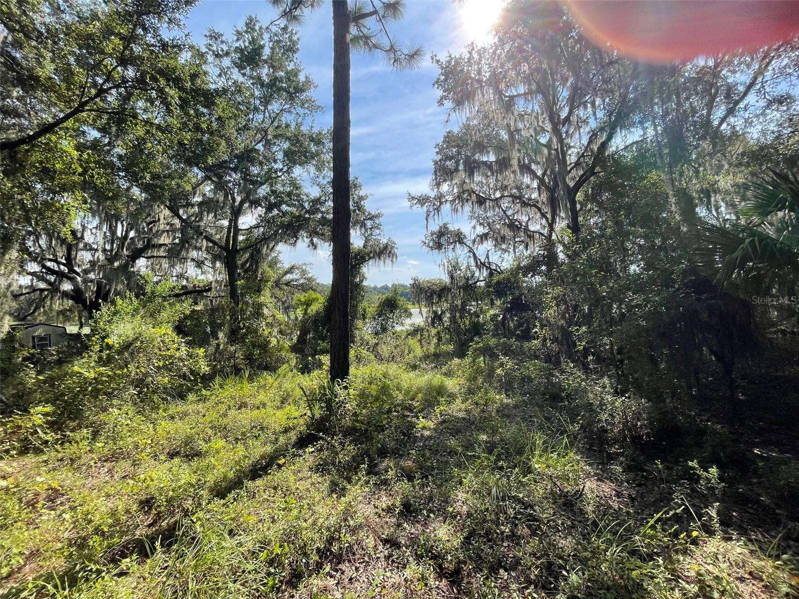 LOTS 13 & 14 SW SHOREWOOD DR, DUNNELLON, FL — photo 8