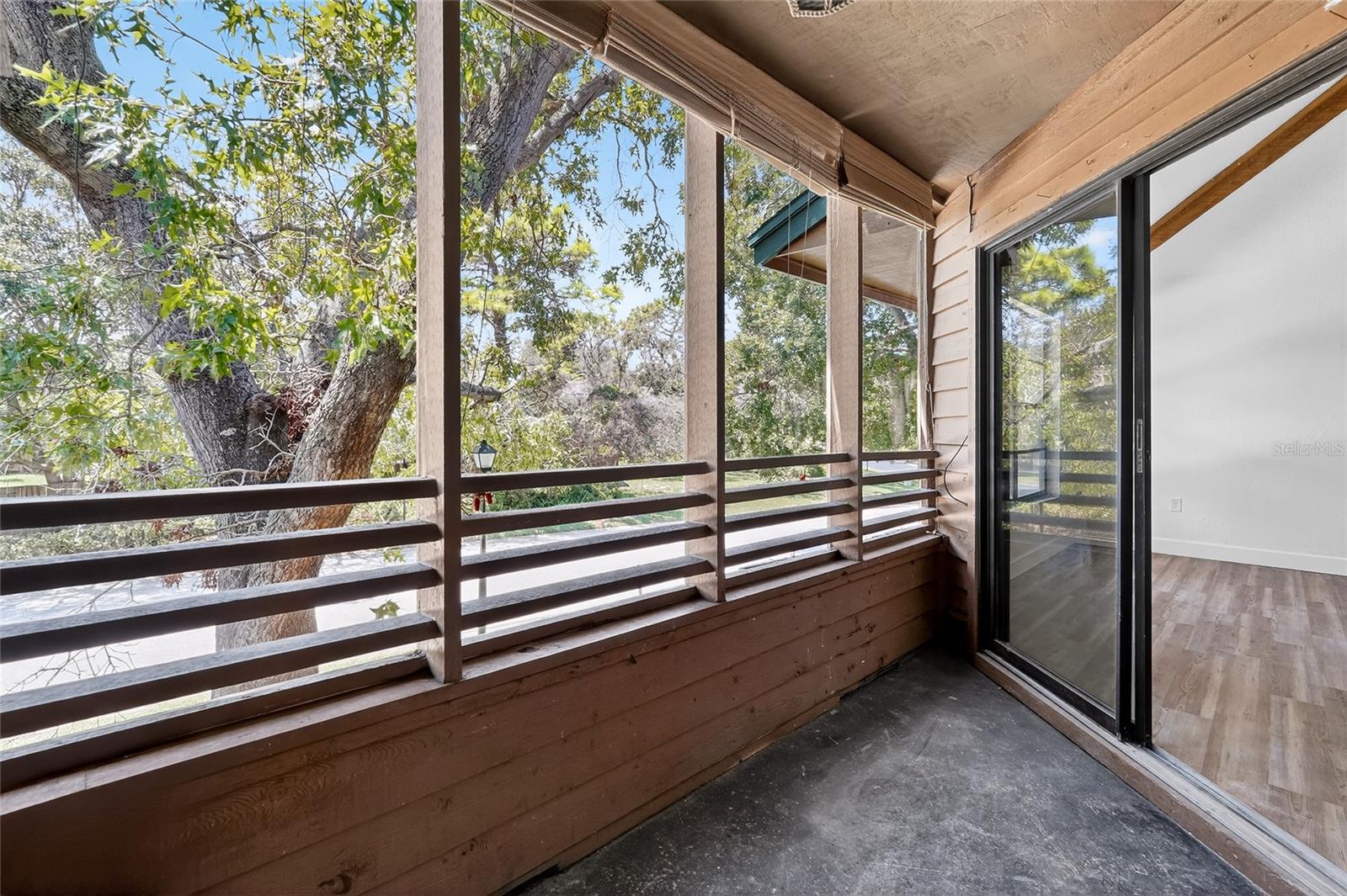 1306 LENNOX RD E #1306, PALM HARBOR, FL — photo 19