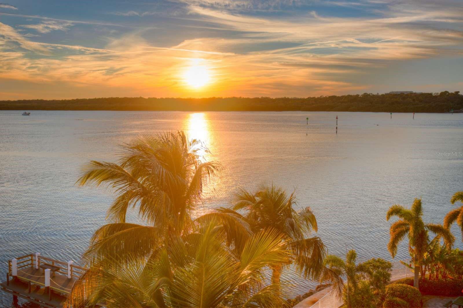 8800 BAY PINES BLVD #312, ST PETERSBURG, FL — photo 44