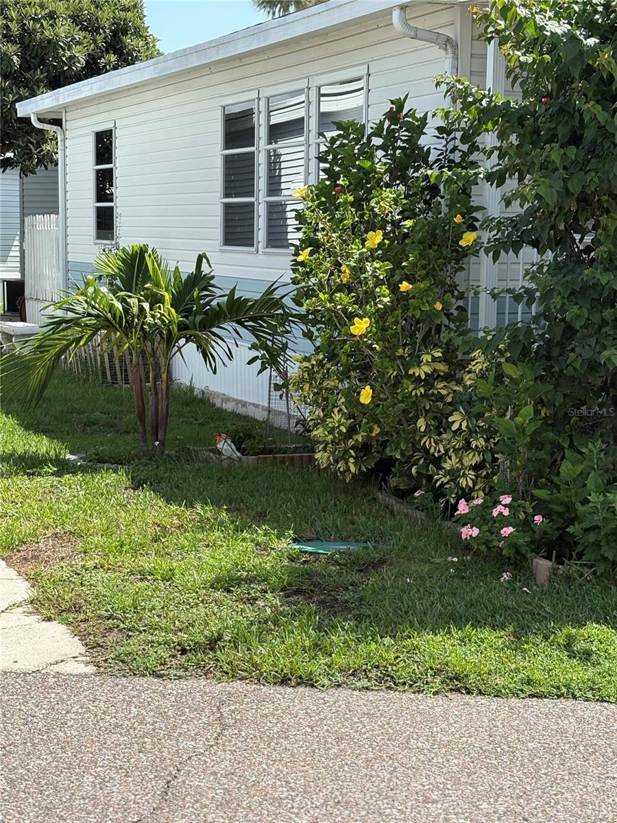 9000 US HIGHWAY 192 #565, CLERMONT, FL — photo 2