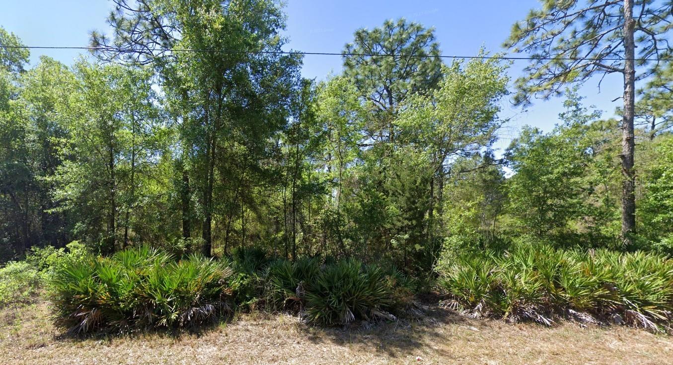 7350 W VILLAGE DR, HOMOSASSA, FL