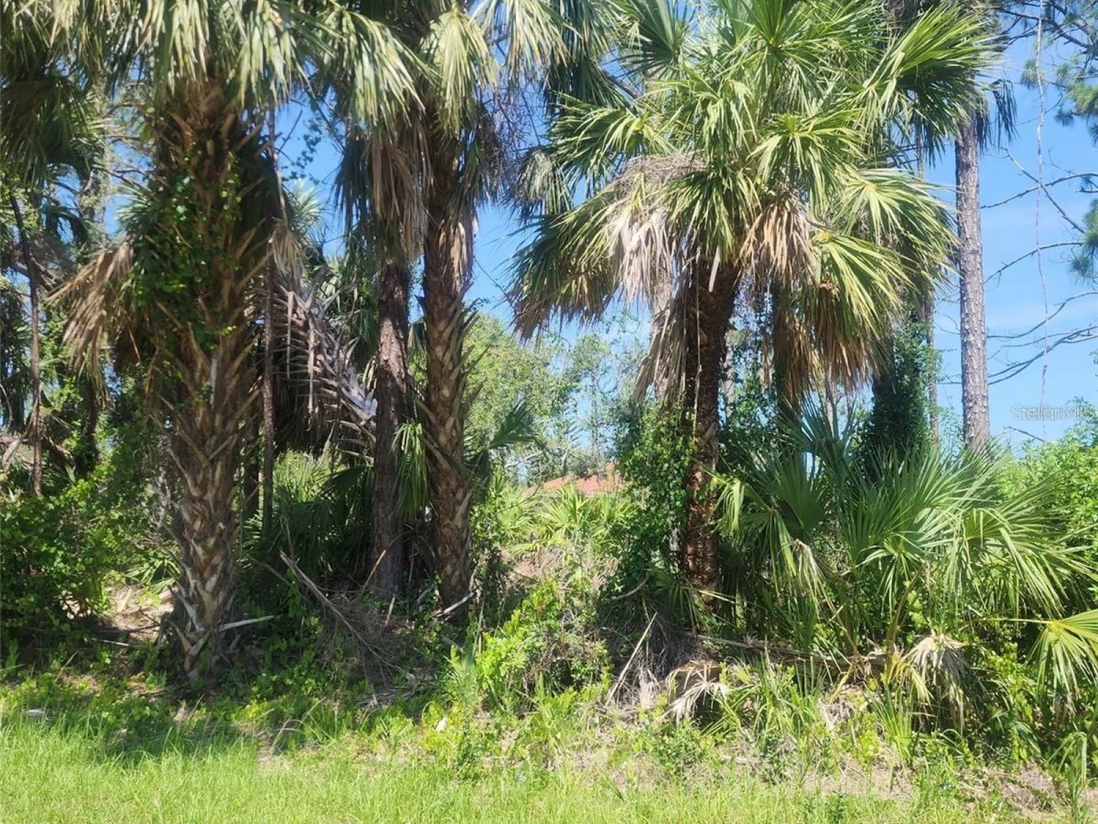 ALIBI TER, NORTH PORT, FL — photo 1