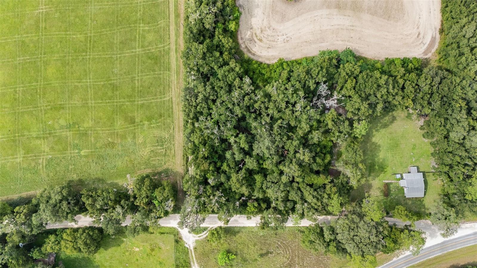 00000-00000 SW 30TH AVE SW, NEWBERRY, FL — photo 11
