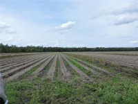 COUNTY ROAD 108 RD — photo 1