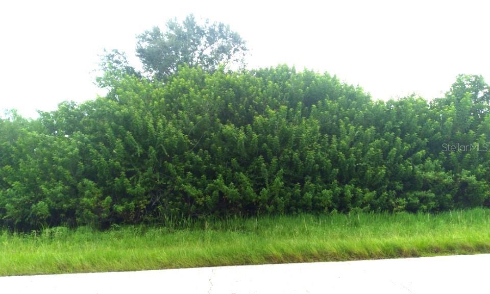 7310 DAVID BLVD, PORT CHARLOTTE, FL — photo 5
