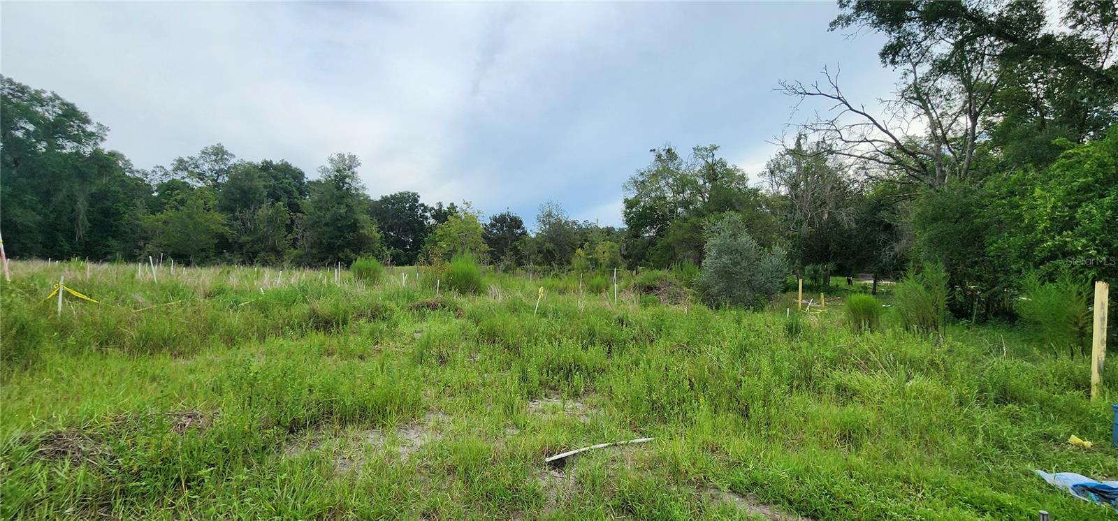 711 SUNSET AVE, ORANGE CITY, FL — photo 10