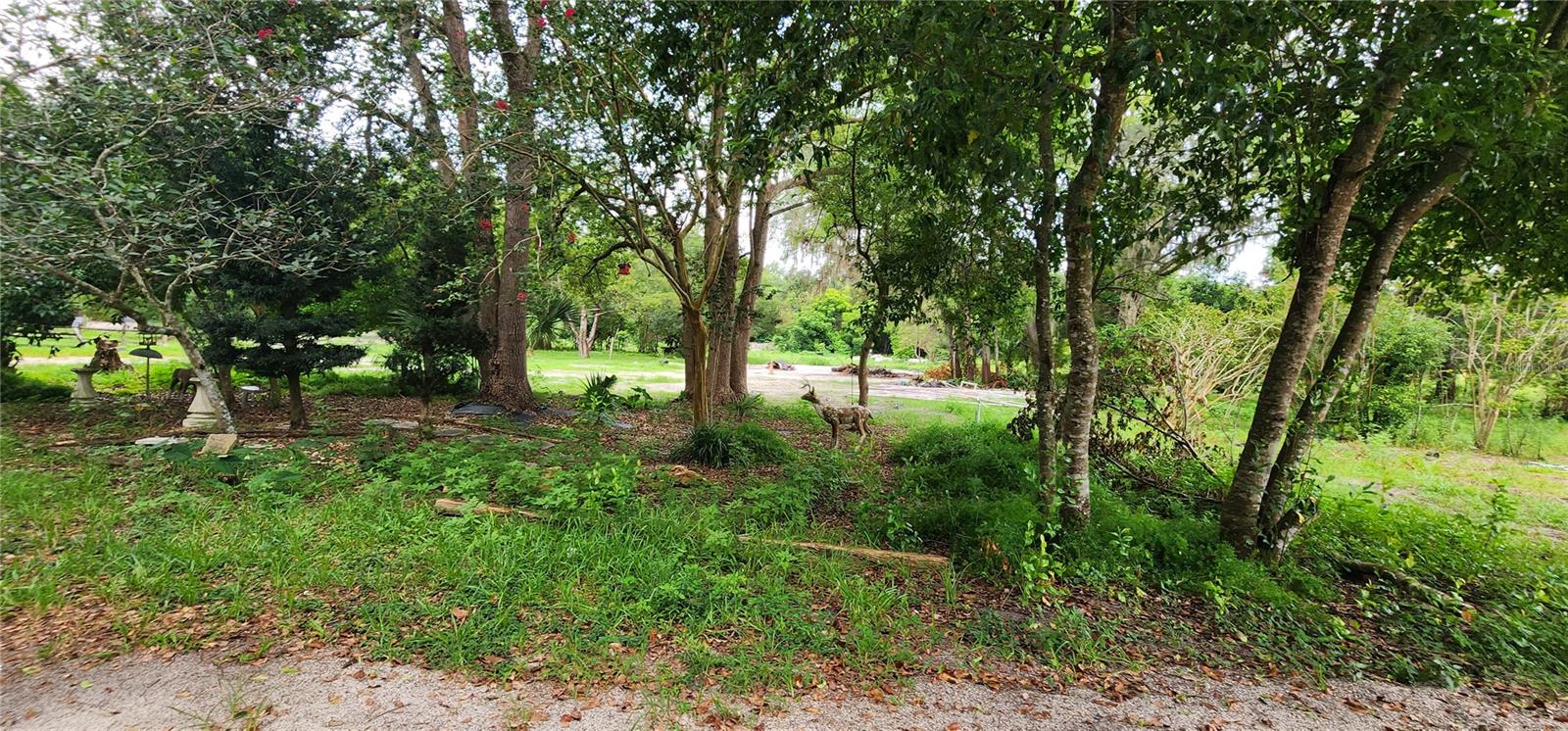 711 SUNSET AVE, ORANGE CITY, FL — photo 11