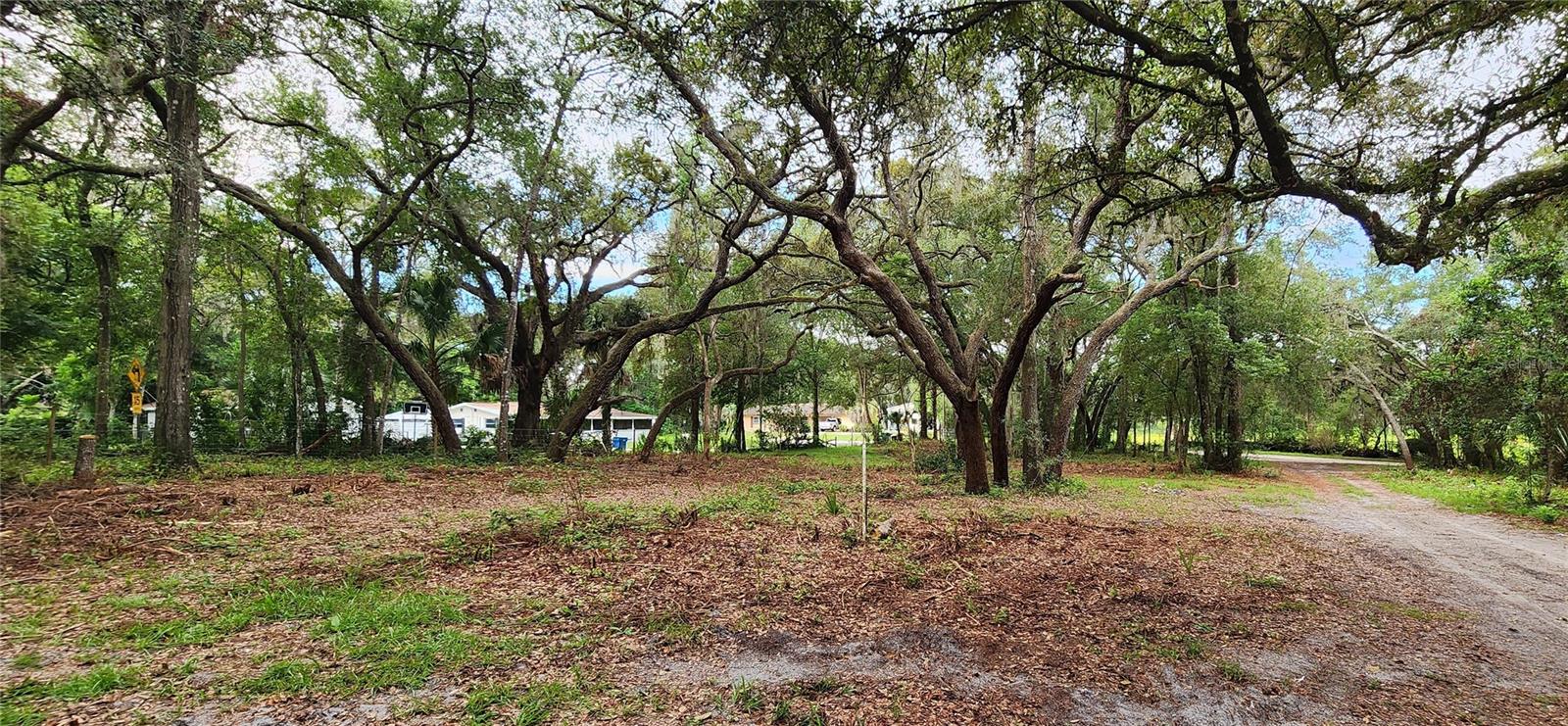 711 SUNSET AVE, ORANGE CITY, FL — photo 12