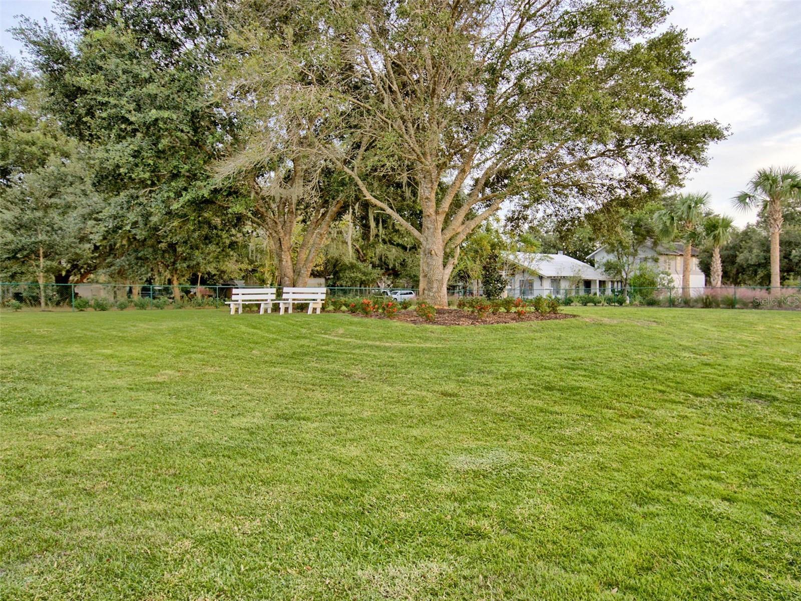 341 CONCH KEY LN, LADY LAKE, FL — photo 101