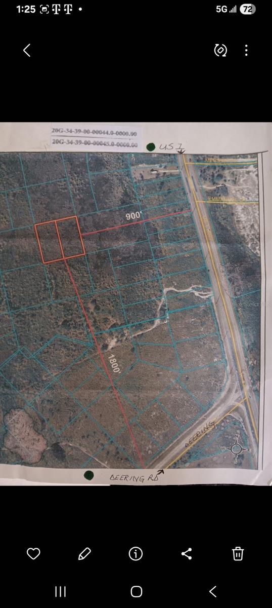 SHORT PARCEL 2003055, MIMS, FL — photo 3