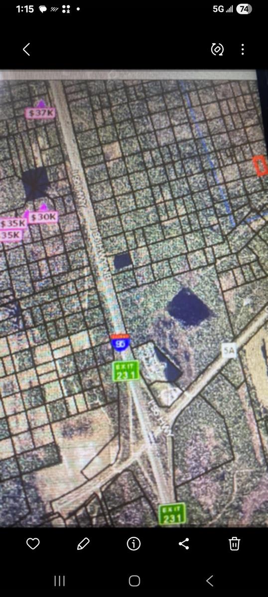 SHORT PARCEL 2003054, MIMS, FL — photo 4