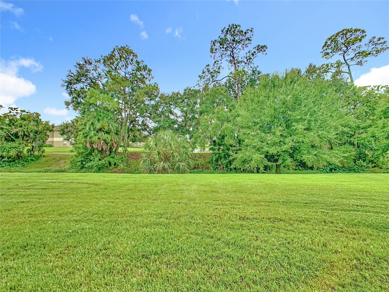 1012 MEDINAH DR SE, WINTER HAVEN, FL — photo 42