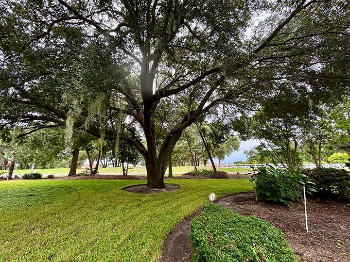 18550 LAKE EMMA DR, GROVELAND, FL — photo 27