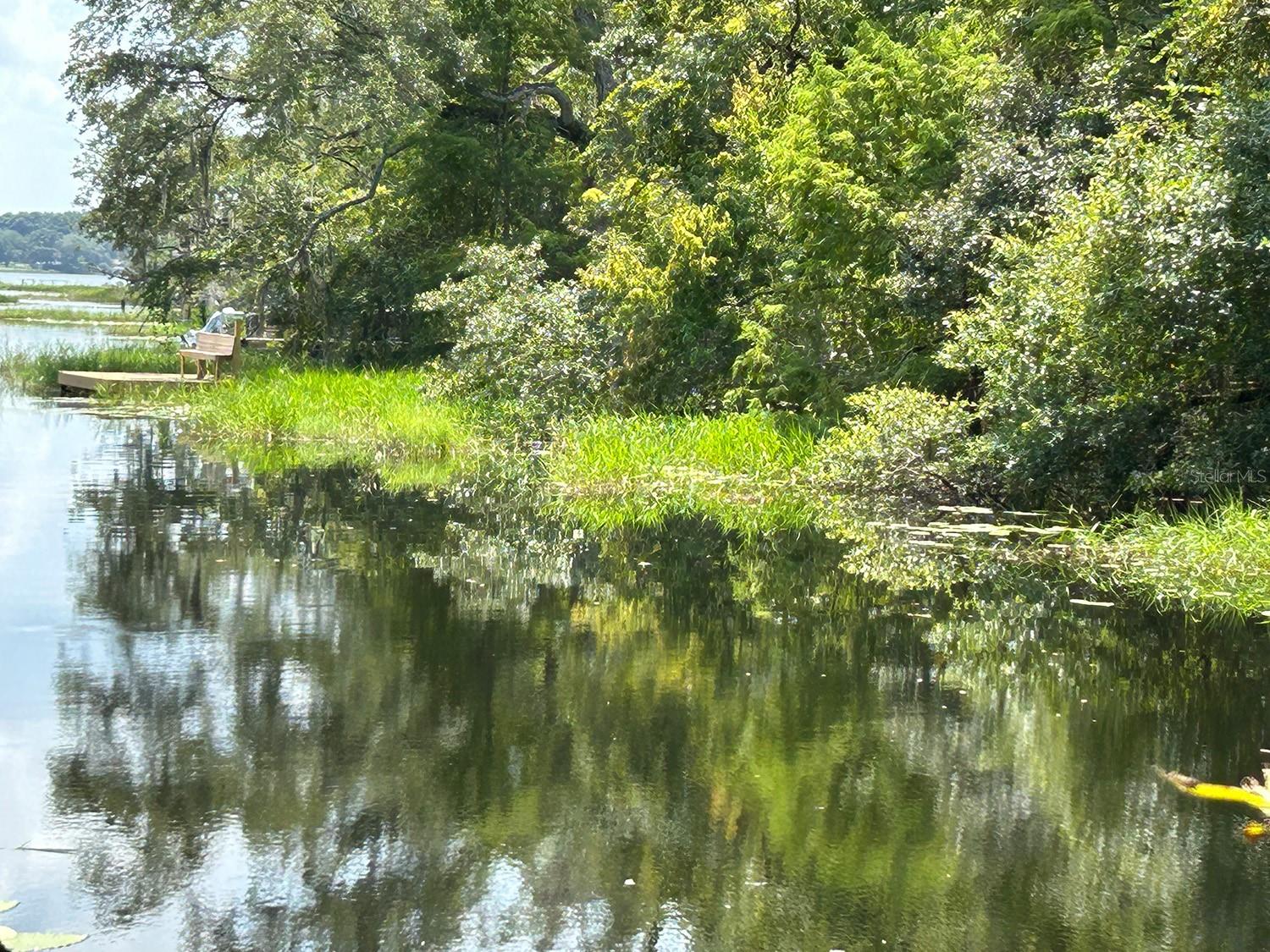 18550 LAKE EMMA DR, GROVELAND, FL — photo 94