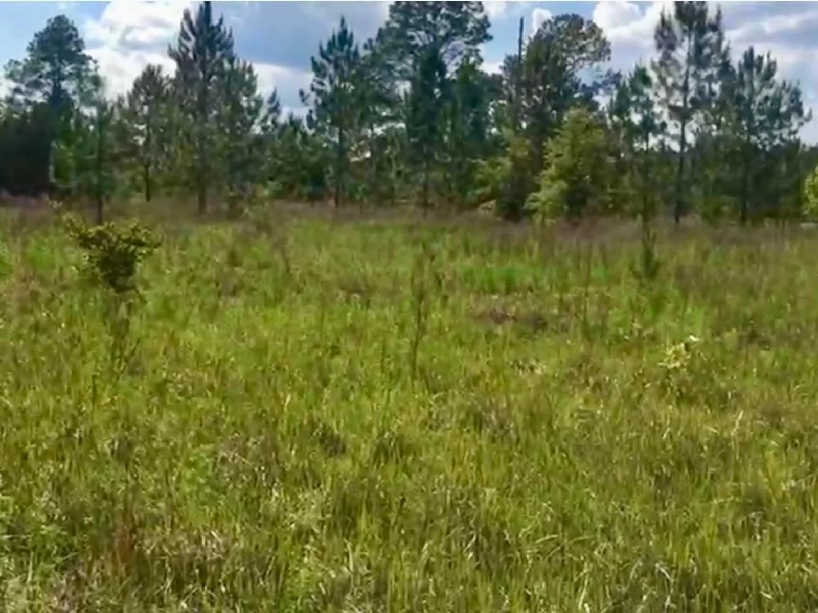 20 & 21 SW AZALEA, DUNNELLON, FL — photo 4