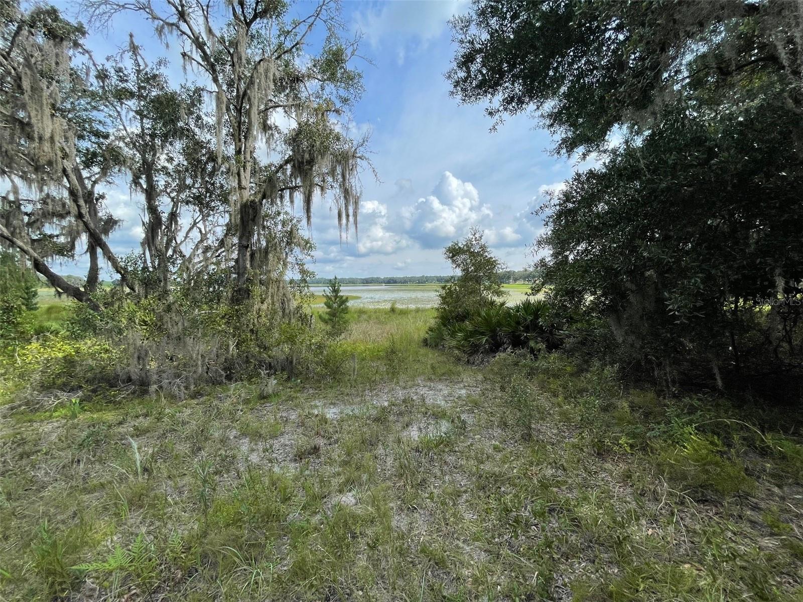 LOTS 462 & 463 SW SHOREWOOD DR, DUNNELLON, FL — photo 2