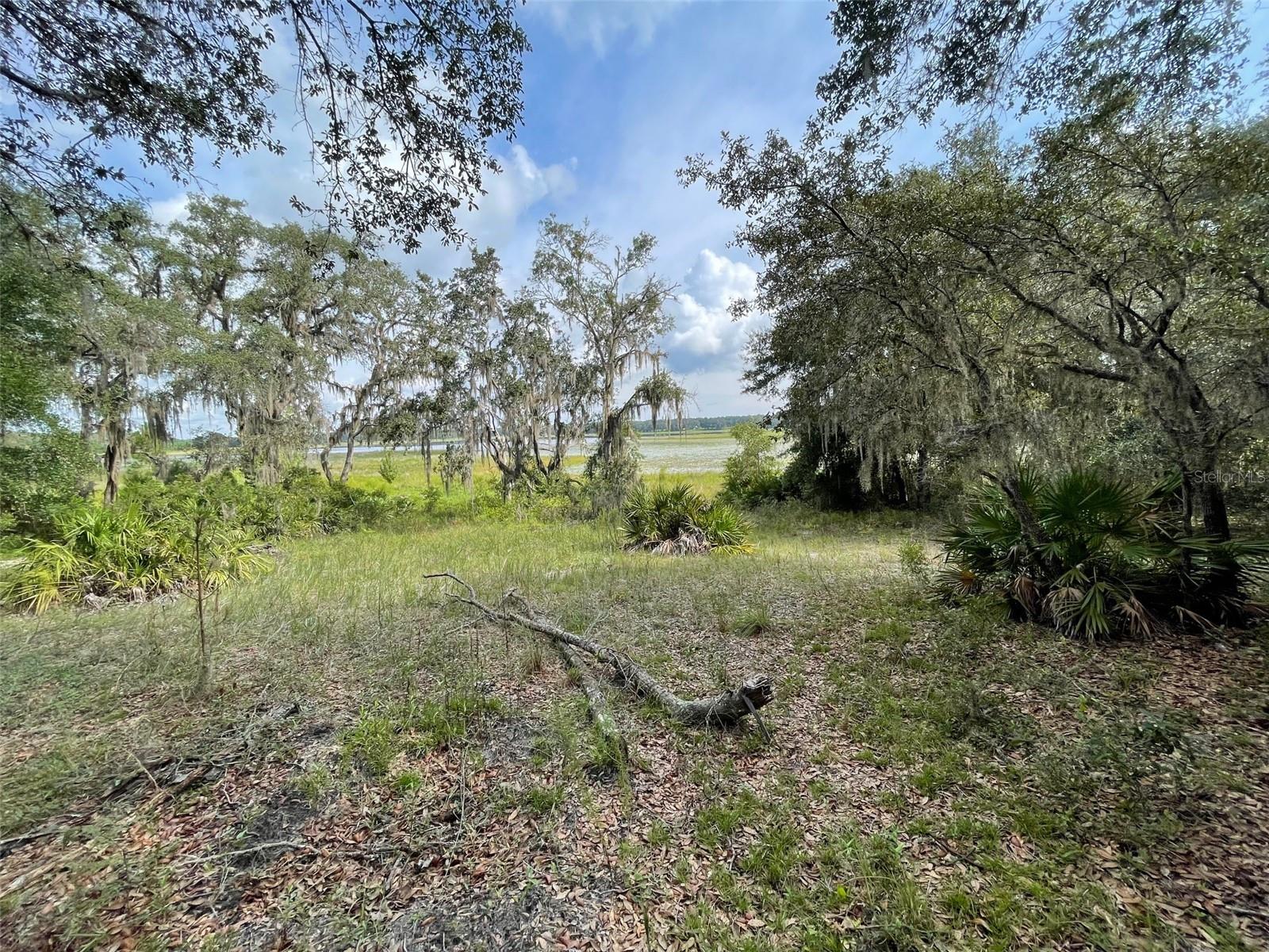 LOTS 462 & 463 SW SHOREWOOD DR, DUNNELLON, FL — photo 3